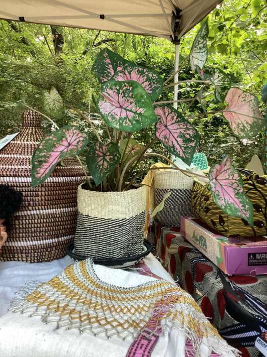 Sisal Black & Cream Nesting Baskets